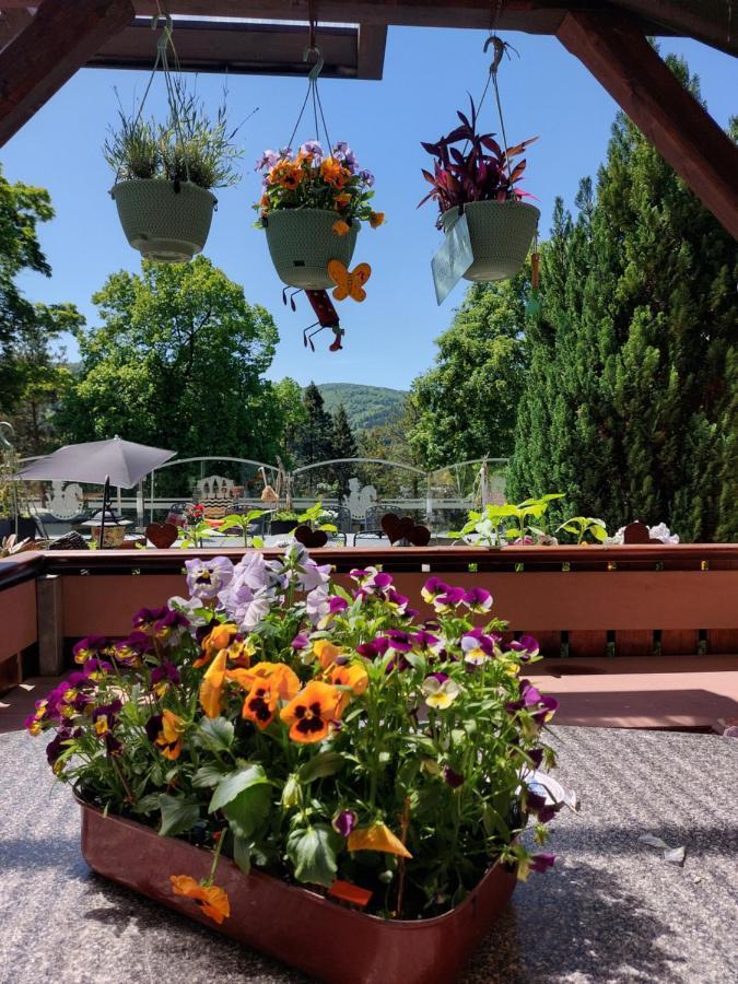 Hotel Zum Poppschen Gut Olbernhau Extérieur photo